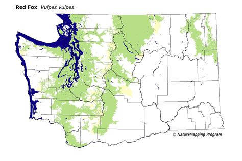 Red Fox Range Map at Gary Wesley blog