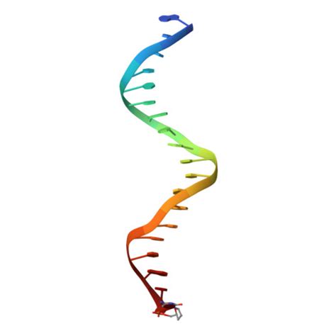 RCSB PDB 7QNZ Human Lig1 DNA PCNA Complex Reconstituted In Absence