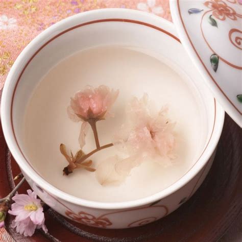 Japanese Cherry Blossom Pink Tea For Celebration Sakura Cha 桜茶