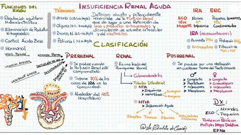 Insuficiencia Renal Aguda Emilia Maritza Colchado Rodriguez Udocz