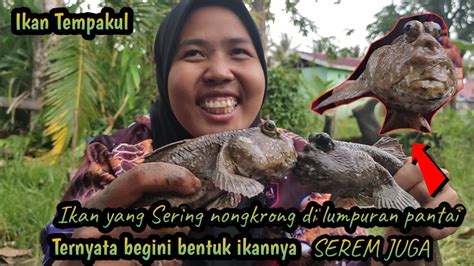 Ternyata Begini Bentuk Ikannya Dilihat Dari Jarak Dekat Serem Juga