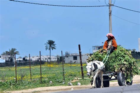 5 years since the tightening of the Gaza blockade | UNRWA