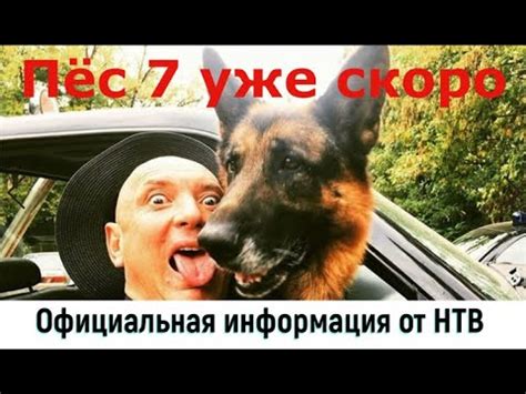 Пёс 7 уже скоро, НТВ назвал точную дату выхода - YouTube