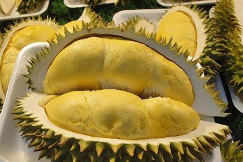 Selain Lezat Ternyata Ini Dia Manfaat Buah Durian Yang Baik Untuk