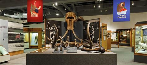 Gallery of Alaska | Museum | Museum of the North