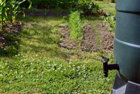 Comment Récupérer L Eau De Pluie Pour Le Jardin