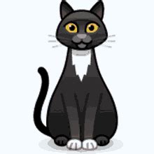 Spinning Cat Illusion GIFs | Tenor