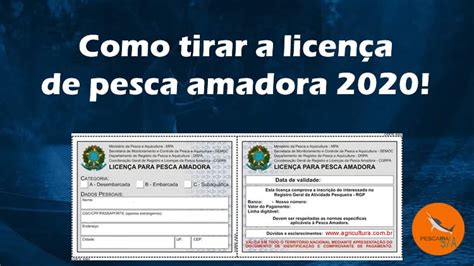 Como tirar licença de pesca amadora Pescaria S A