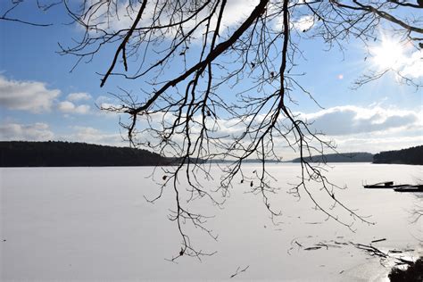 Bildet tre natur gren snø vinter Sky innsjø is speilbilde