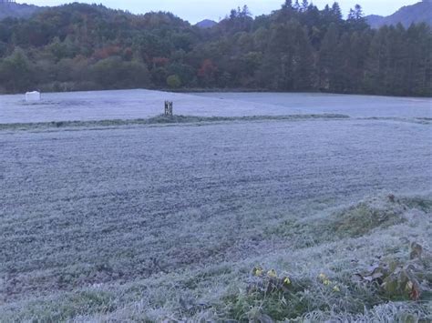 今季初の氷点下を観測した地区も東海地方でこの秋一番の冷え込み 名古屋で最低気温100度 東海テレビnews