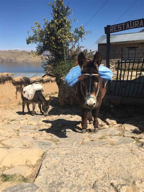 Want to Travel the World? Here are 6 Rules to Follow