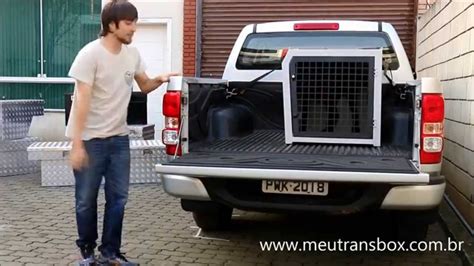 Petbox Transporte Seu Pet Seguran A Youtube