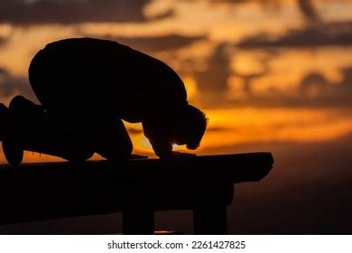 Muslim Prayer Man Praying Sunset Stock Photo 2261427825 | Shutterstock