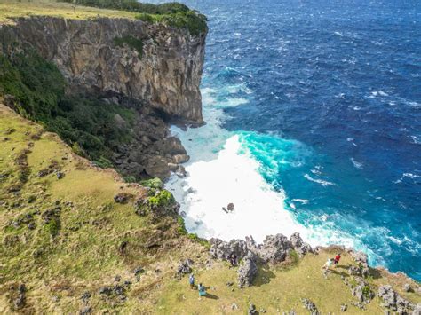 Bikini Bottom Wall Free Activity In Tonga