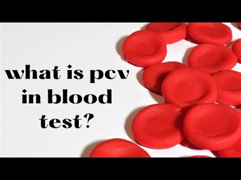 What Is Pcv In Blood Test When Pcv Increases Or Decrease