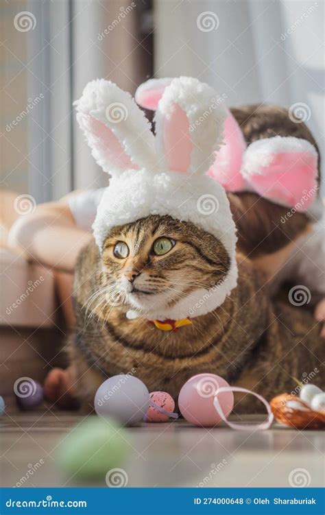 Easter Bunny. Tabby Cat in the Rabbit Ears with Easter Eggs. Holiday ...