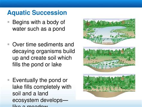 Succession Read The Lessons Title Aloud Ppt Download