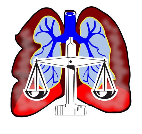 Lungs Clip Art - Clip Art Library