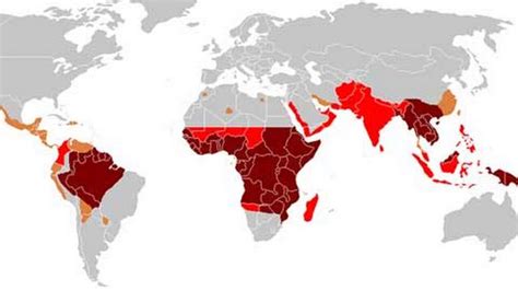 5 Des Maladies De Pays Chauds Découverte Tv Play Rts Radio