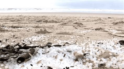 Pollution Une Mar E De Billes En Plastique Sur Le Littoral