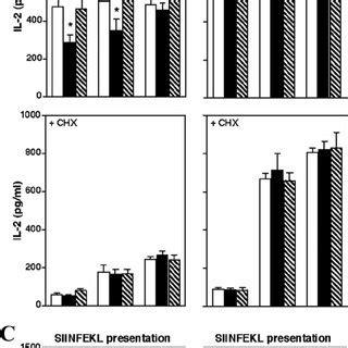 Expression Of Cell Surface Molecules On Jaws Ii Cells And C