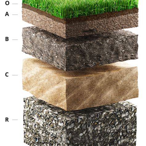 Engineered Septic System Design - TBC GeoTech