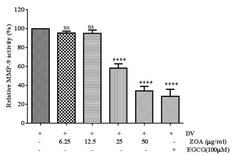 Dose Dependent Inhibition Of Mmp 2 And Mmp 9 Activity After Treatment