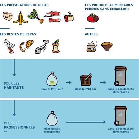 Comment Trier Mes D Chets Alimentaires