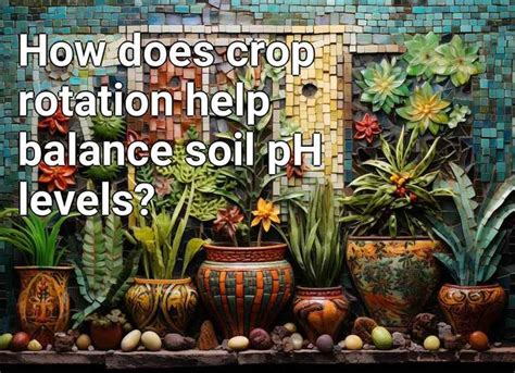 How Does Crop Rotation Help Balance Soil Ph Levels Gardening Gov Capital