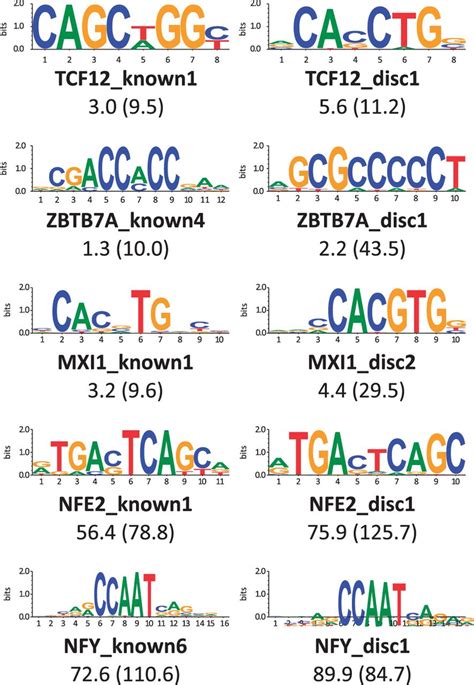 Comparison Of Known Versus Discovered Motifs Selected Where Discovered