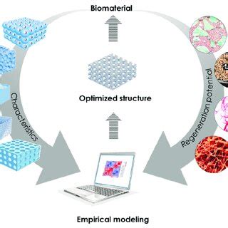 Illustration Of The Empirical Modeling Strategy Used In This Study To