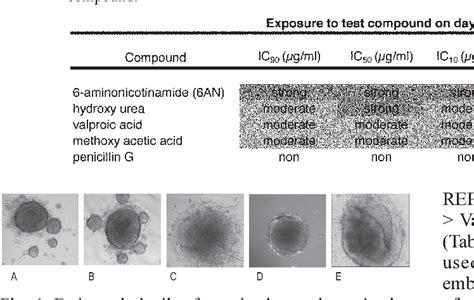 Figure 1 From A Higher Throughput Method To The Embryonic Stem Cell