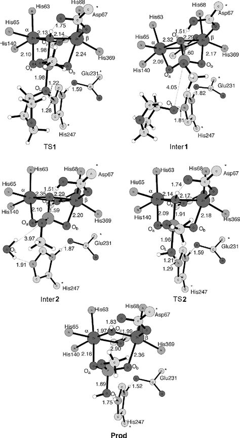 Figure From Theoretical Study Of The Rna Hydrolysis Mechanism Of The