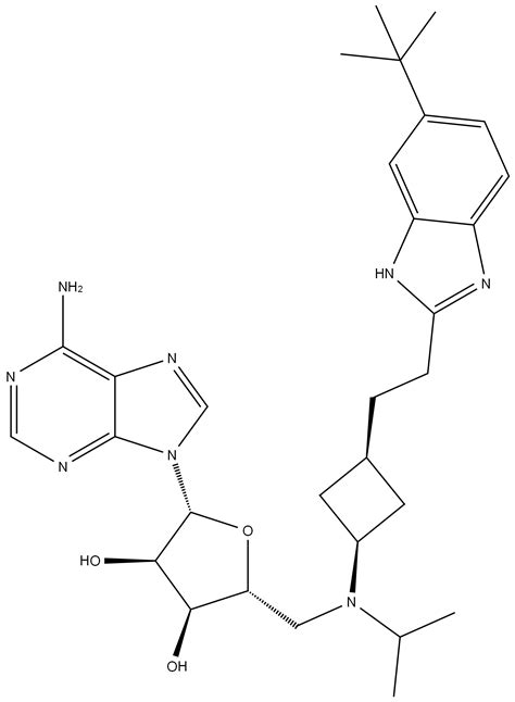 2R 3R 4S 5R 2 6 AMino 9H Purin 9 Yl 5 1r 3S 3 2 5 Tert