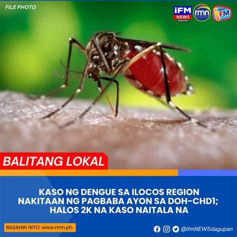 KASO NG DENGUE SA ILOCOS REGION NAKITAAN NG PAGBABA AYON SA DOH CHD1