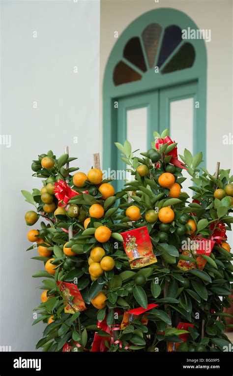 Decoration Hi Res Stock Photography And Images Alamy