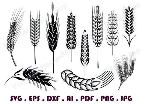 Wheat Svg Wheat Svg Grain Svg Wheat Clipart Wheat Files Etsy