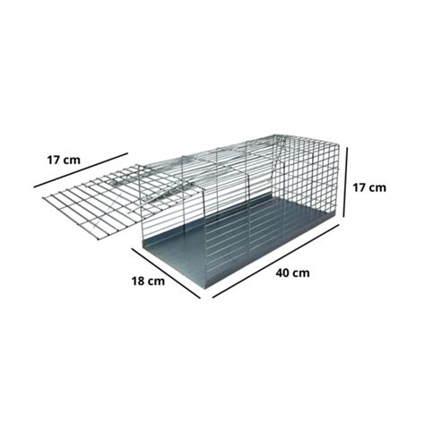 Armadilha Para Ratos E Ratazanas Grande Ecoced