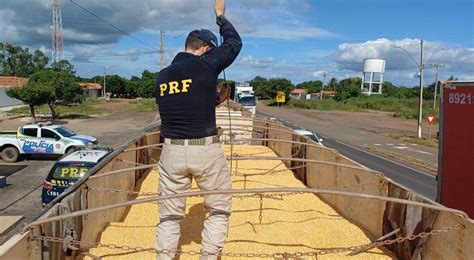 Prf Apreende Maconha Na Enchente E Coca Na Na Carga De Milho Sou Agro