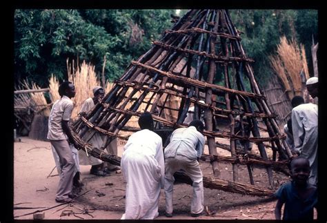 Building Huts In Darfur Miri Aba Zalingei Sudan 1984 Flickr