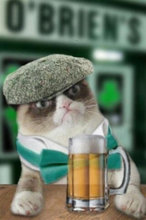 Irish Grump Cat Meme Generator