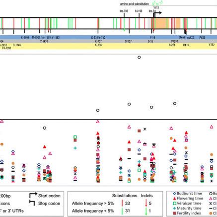 Median joining networks derived from reconstructed DNA sequence... | Download Scientific Diagram