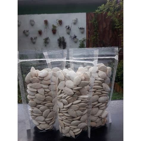 Jual Kuaci Labu Putih Kuaci Putih Jumbo Gram Shopee Indonesia