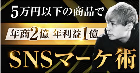 5万円以下の商品で年商2億、年利益1億を超えたsnsマーケ術 ナオ速