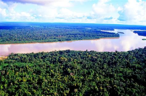 Rio Amazonas Historia Origen Características Profundidad Y Mucho Mas