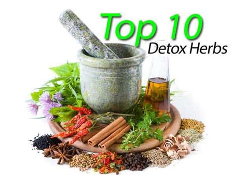 The Top 10 Detox Herbs