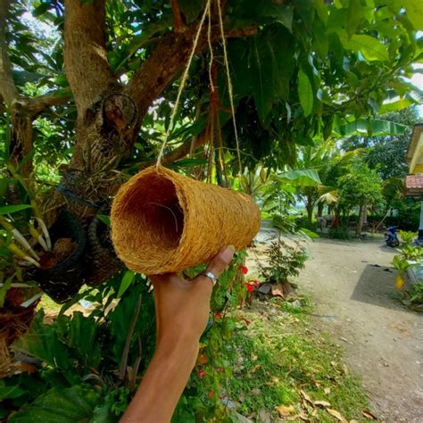 Jual Glodok Tempat Tidur Sarang Burung Sabut Kelapa Terowongan Tempat