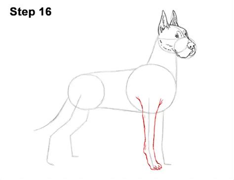 6 Steps To Bringing Home A Canine Companion On Paper: A Guide To Drawing Lovable Great Danes