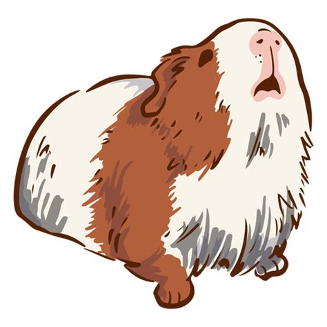 Looking Up Guinea Pig Illustration Png And Svg Design For T Shirts