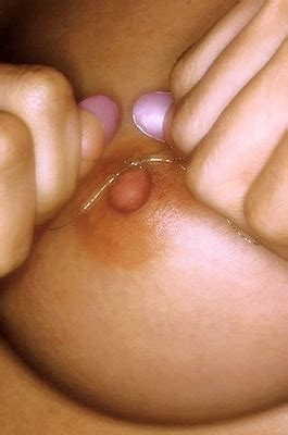 PENTHOUSE Amber Ramsey Nude Morazzia